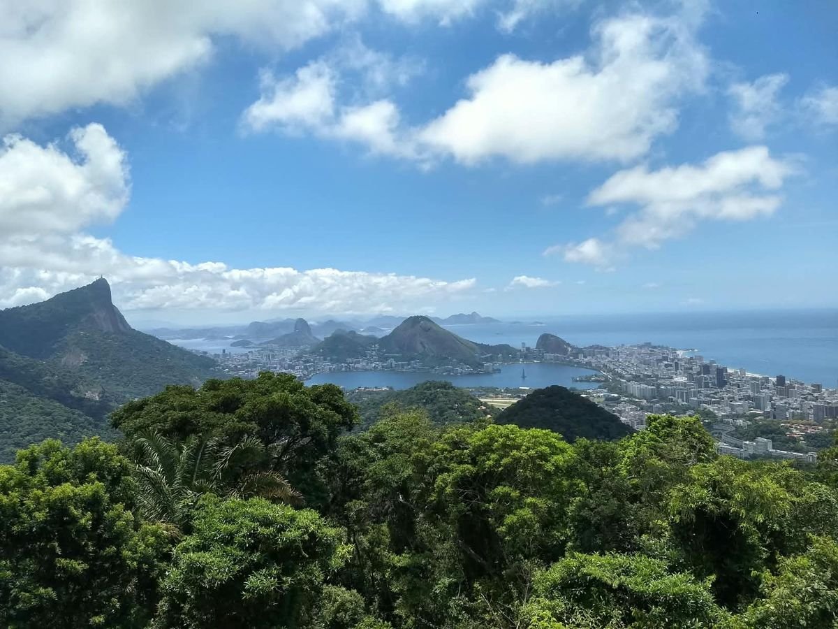 Rio de Janeiro seen from a forested viewpoint, the lagoon, mountains and coastline below