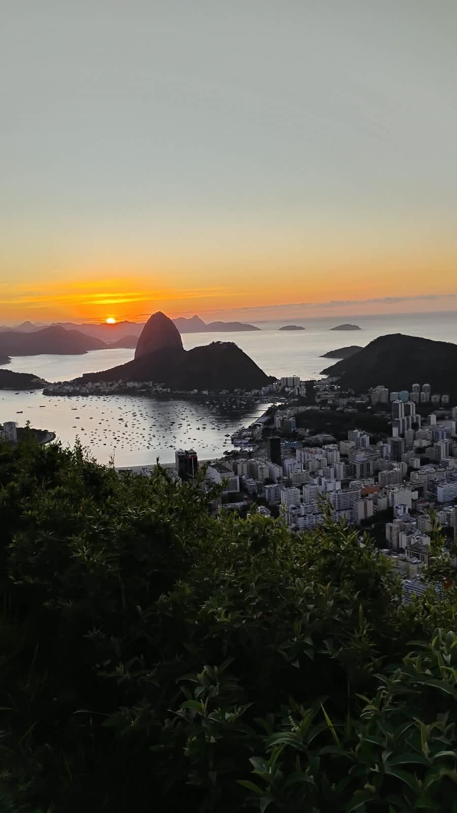 Sunrise over Guanabara Bay and Sugarloaf Mountain from a hillside viewpoint